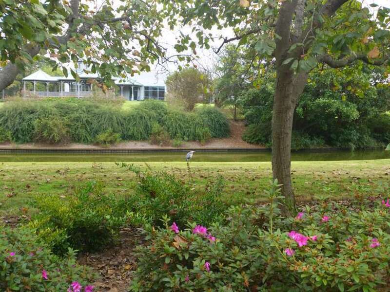 Norfolk Azalea Garden