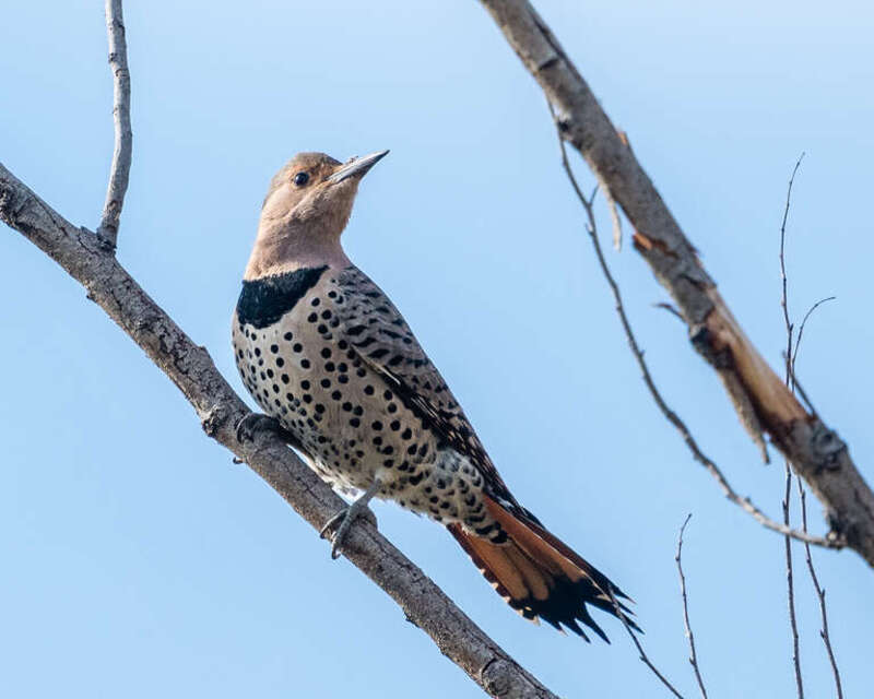 Big Break Regional Shoreline, Oakley, California