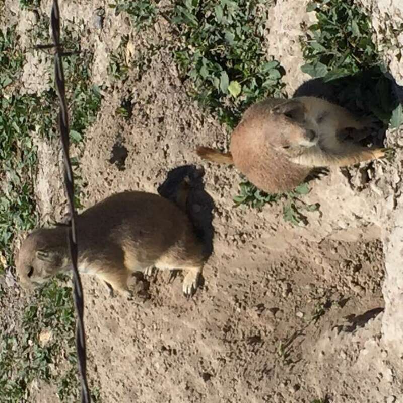 Northwest Jackson, SD, USA