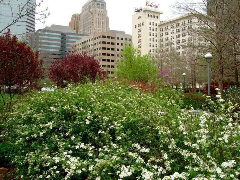 Oklahoma City, OK - Myriad Botanical Garden