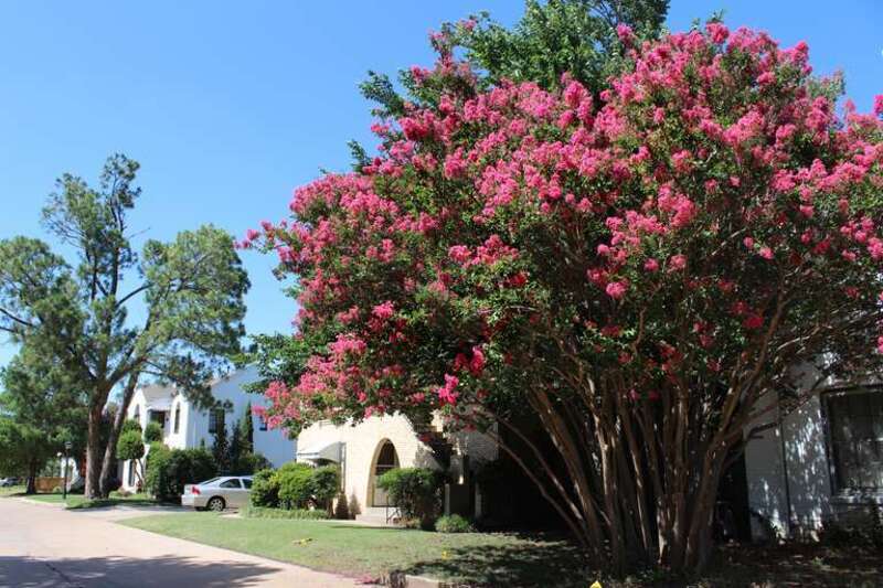 Oklahoma City, OK USA  - Carey Place