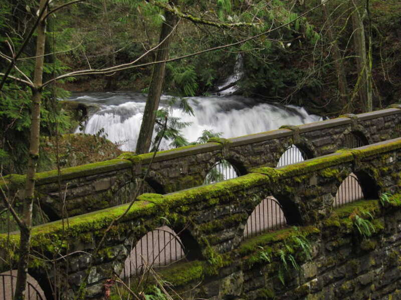 Whatcom Falls Park, Bellingham, Wash. The bridge is so old it has moss and ferns growing on it, making it blend in with the forest.