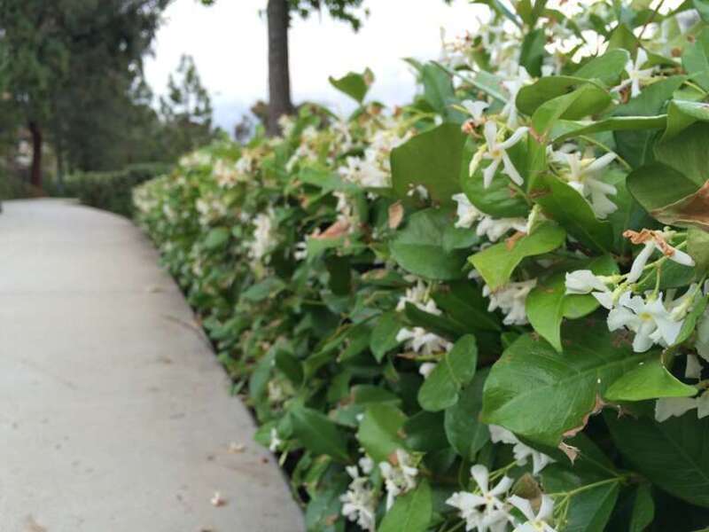 Los Angeles: Orange County in May-July 2016