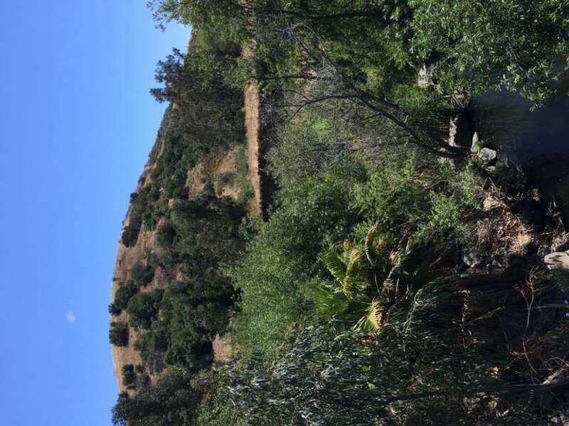 Los Angeles: Orange County in May-July 2016