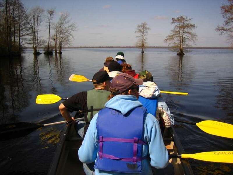 Great Dismal Swamp National Wildlife Refuge. Credit: USFWS