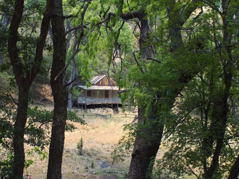 Saturday May 11, 2013 at the Ramsey Canyon Preserve.