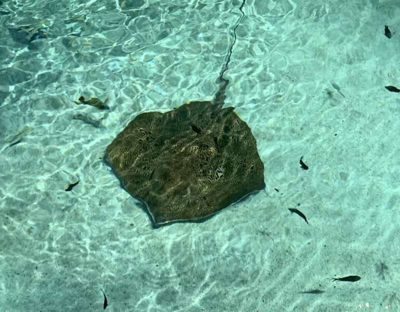 National Aquarium in Baltimore, Maryland