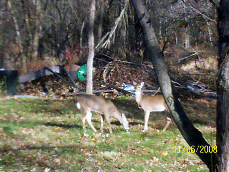 Redings Mill, MO 64804, USA