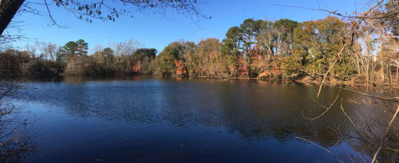 A pond in River Park North in Greenville, North Carolina during November 2020