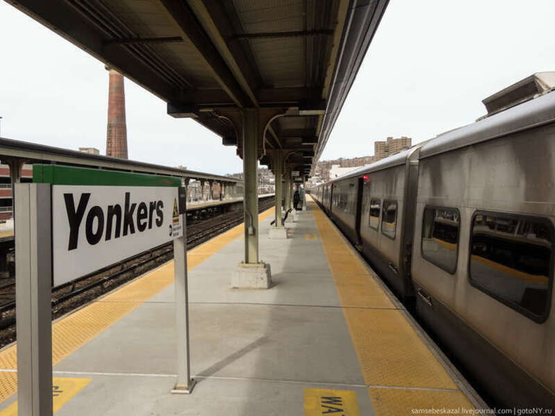 Image by Dennis Fraevich, requiring further identification/categorization.