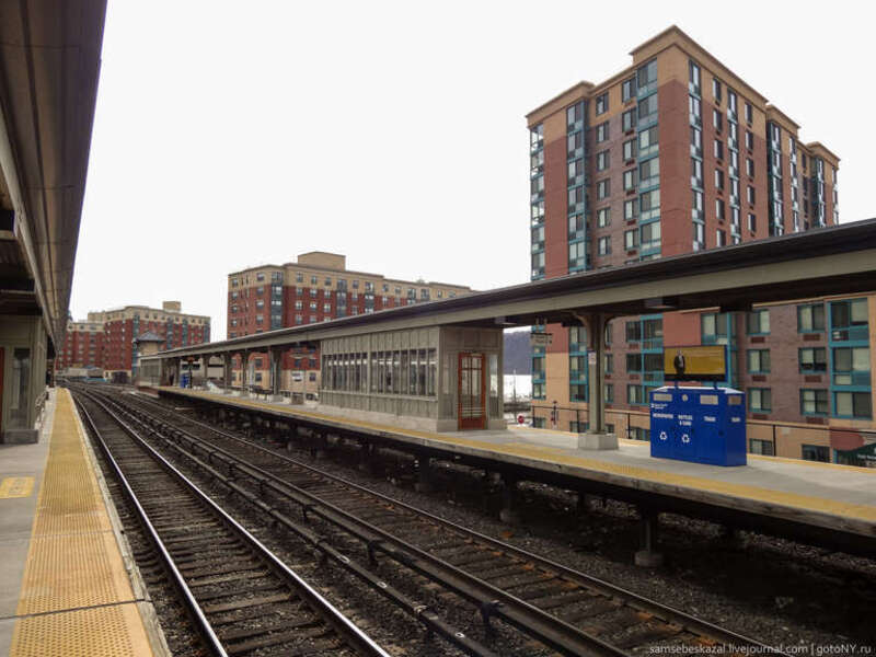 Image by Dennis Fraevich, requiring further identification/categorization.