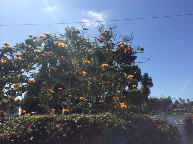 California, USA - September 2016

San Diego in September 2016