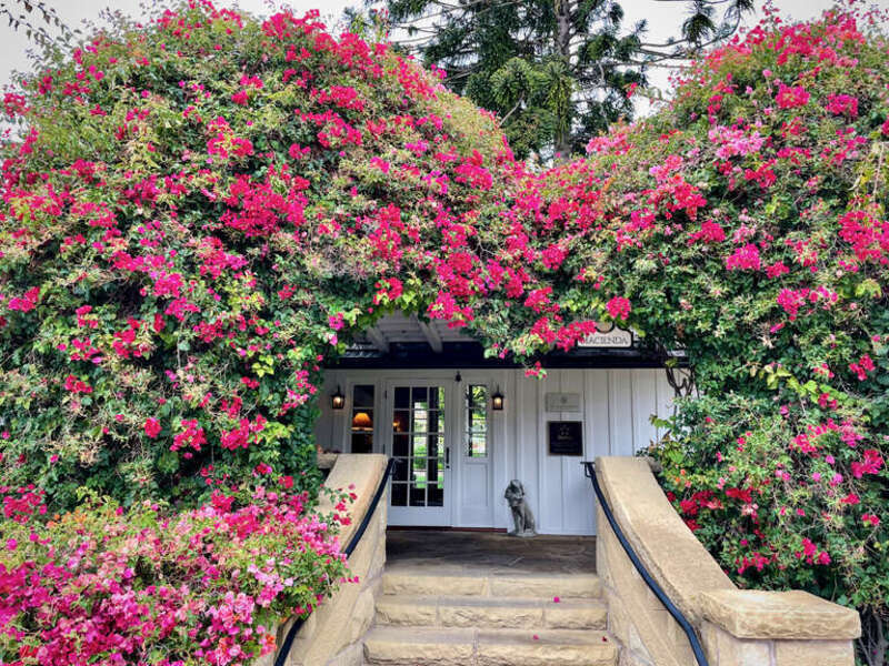 This really is a splendid place, meticulously maintained. We celebrated my wife's birthday at their outdoor restaurant, then spent an hour or more walking the grounds.

&amp;lt;a href=&quot;https://www.sanysidroranch.com/&quot; rel=&quot;noreferrer