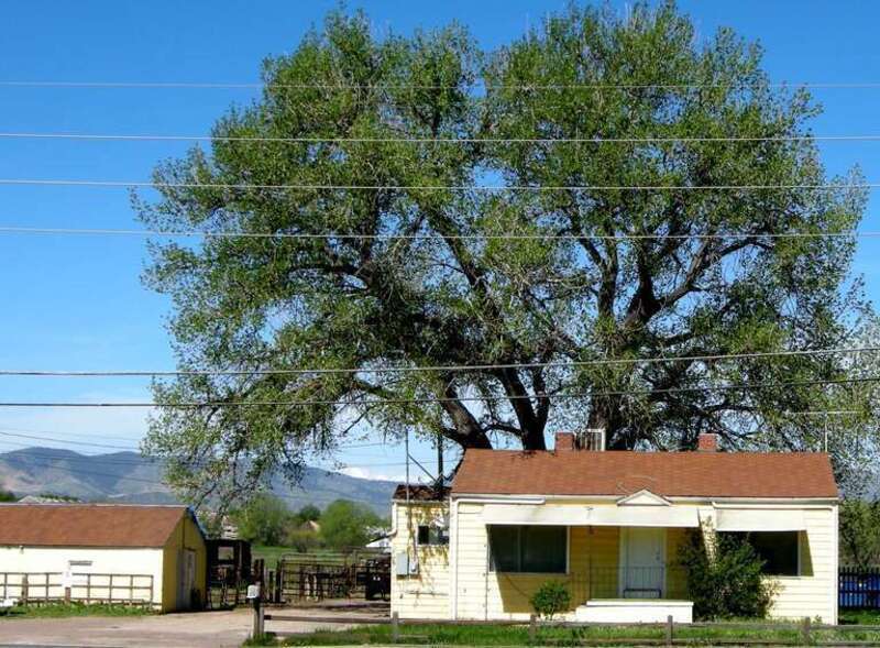 Schnell Farm, Lakewood, Colorado USA
