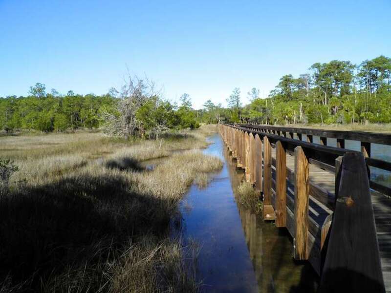 Skidaway Island SP - Sand Piper Trail