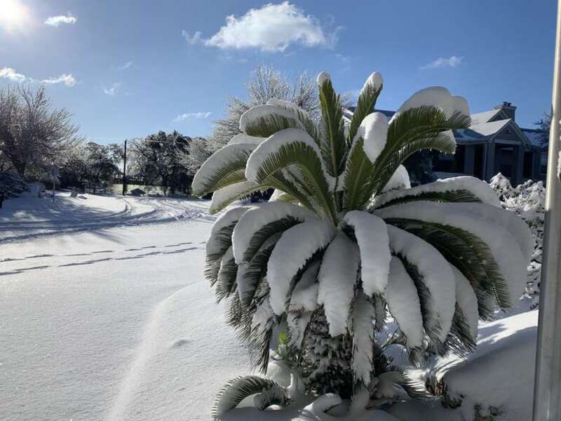 Cedar park Texas winter storm 2021