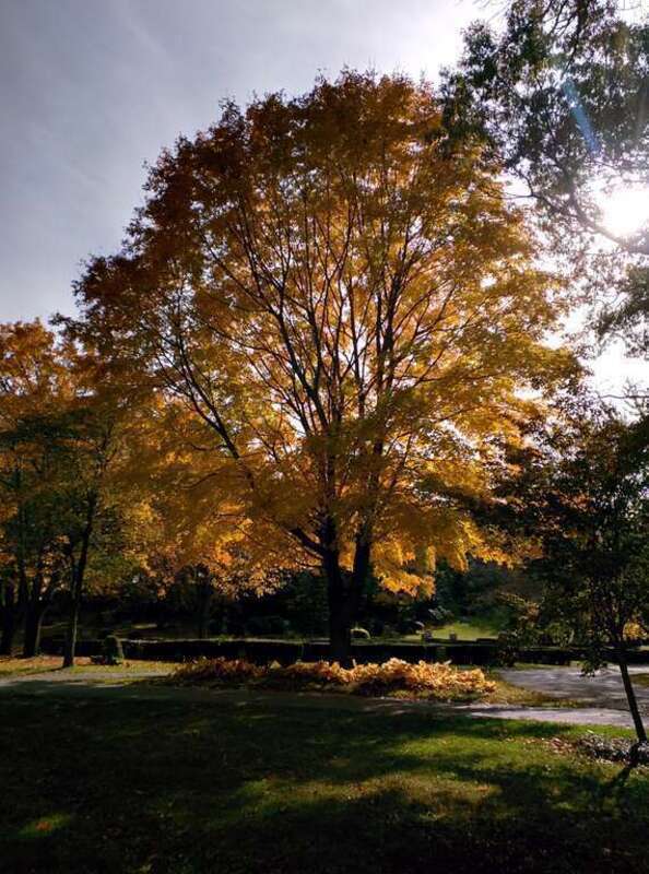 South Lowell, Lowell, MA, USA