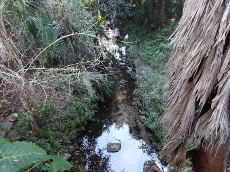 Sweetwater Branch Creek, Gainesville, Alachua County, Florida