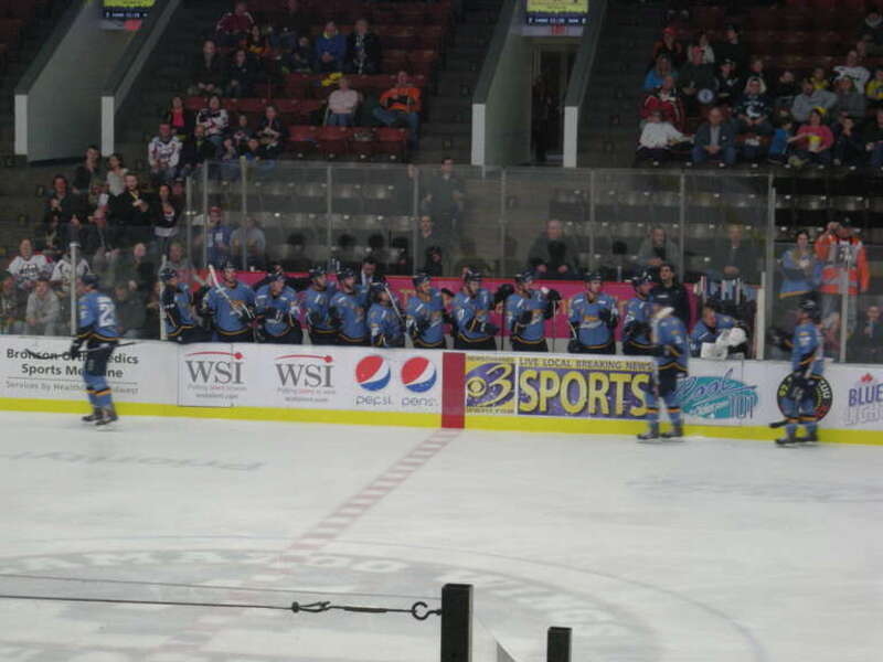 In-game action during the Toledo Walleye vs. Kalamazoo Wings ice hockey game at Wings Stadium in Kalamazoo, Michigan (United States). Kalamazoo won 6–3.