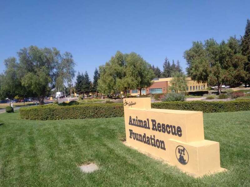 Tony LaRussa's Animal Rescue Foundation in Walnut Creek, California