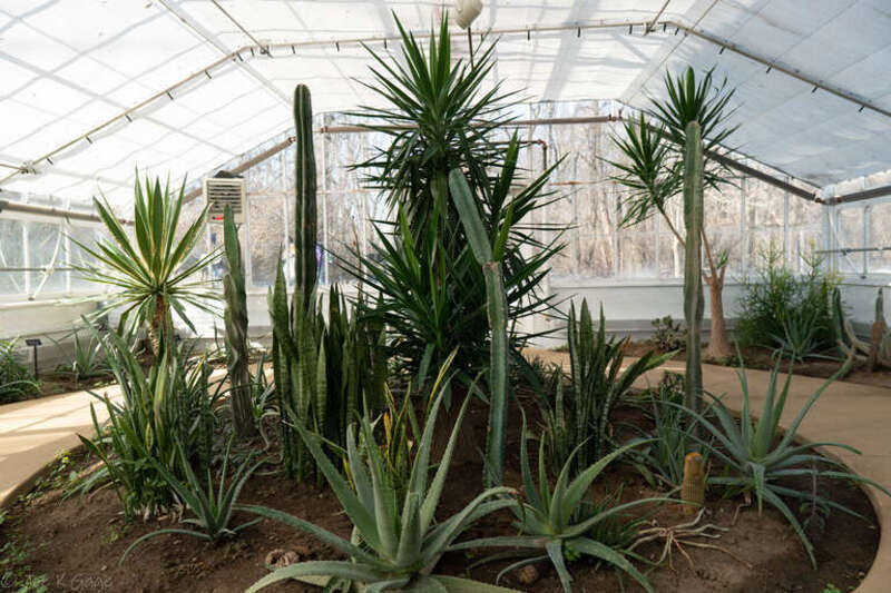 Bird Haven Greenhouse &amp;amp; Conservatory, Joliet, IL