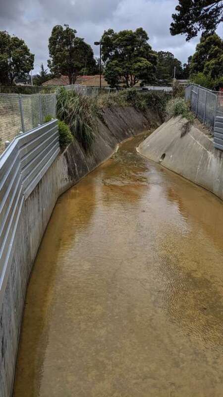 Twelve Mile Creek (Colma Creek tributary) at Antoinette Lane, looking southwest