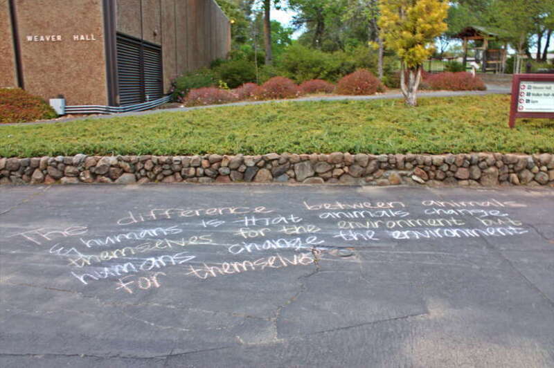 Chalk message, Sierra College, Rocklin, California

&quot;The difference between animals and humans is that animals change themselves for the environment but humans change the environment for themselves.&quot;