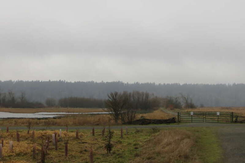 Olympia, Washington
Nisqually National Wildlife Refuge

Walk along the nature trail, including levee and boardwalk.
