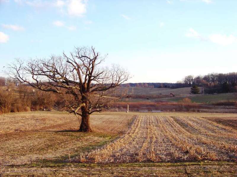 University, Blacksburg, VA, USA