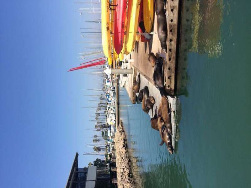 California, USA - August 2016