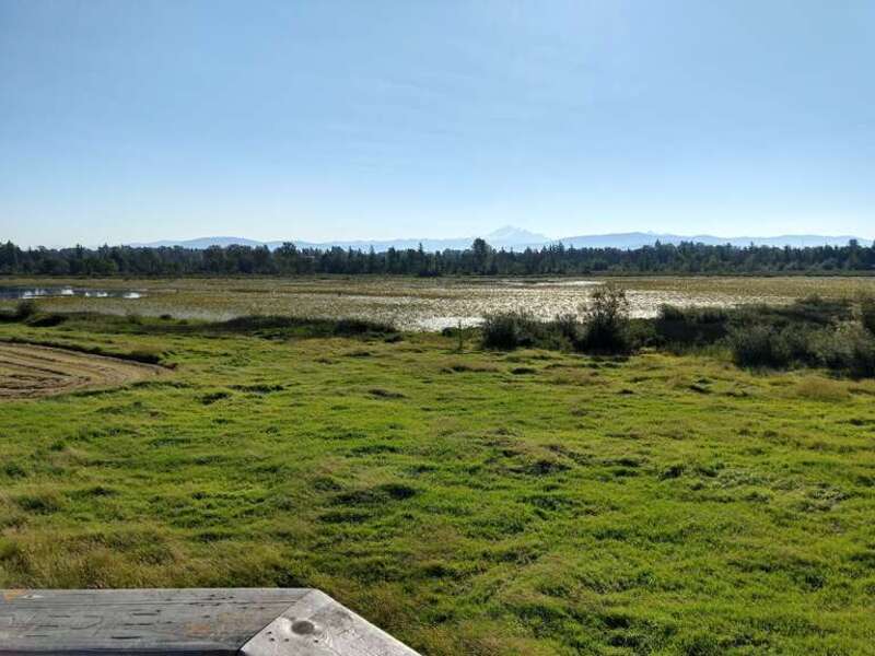 View from wildlife viewing tower - 8/16/2020