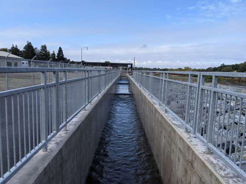 Water was released from the Nimbus Fish Hatchery into the new fish ladder.