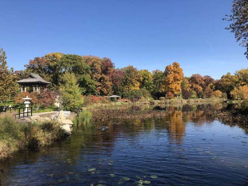 This image depicts an autumn landscape at the Wellfield Botanical Gardens in Elkhart, Indiana, U.S. Established in 2005, the park features several themed gardens and water features.