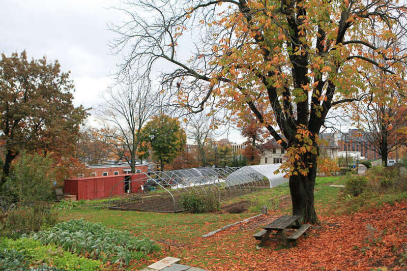 Southeast portion of the Yale main campus farm on Edwards Street in New Haven, CT, showing covered and uncovered hoophouses and winter vegetable cultivation.