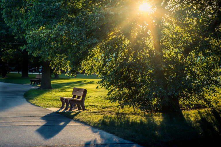 Low angle light backlights a bench and tree near the river.