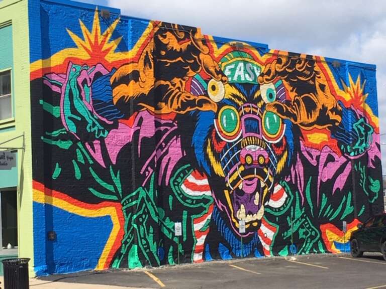 This mural by Bicicieta Sem Freio was created in 2018 in Jackson Michigan.