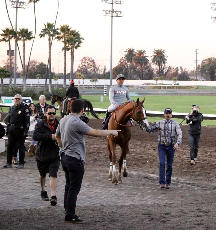 California Chrome entering the winner's circle with jockey Victor Espinoza and groom Raul Rodriguezafter winning the Winter Challenge Stakes by 12 lengths at Los Alamitos Race Track, December 17, 2016.
