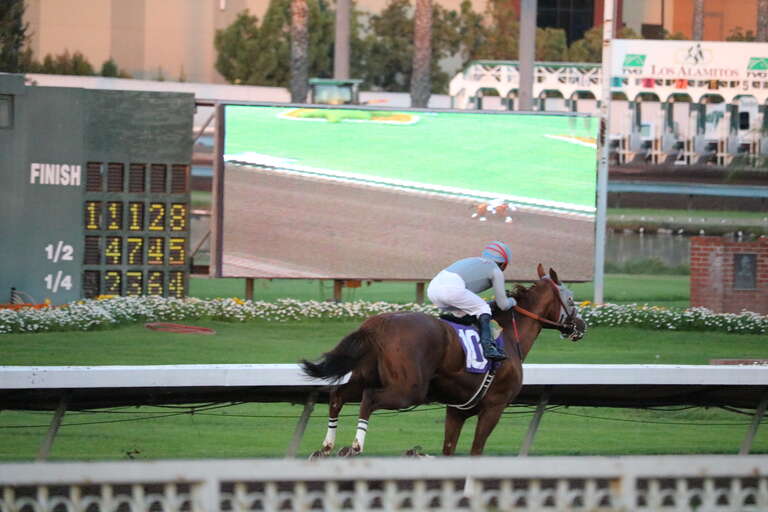 California Chrome winning the Winter Challenge Stakes by 12 lengths at Los Alamitos Race Track, December 17, 2016.  Los Alamitos Race Track, December 17, 2016