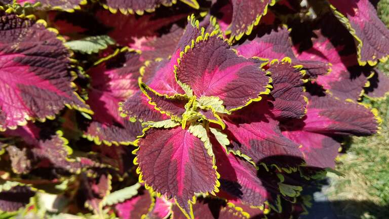 The Ohio State University

Columbus, Ohio