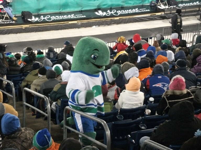 Connecticut Whale vs. Providence Bruins - Whale Bowl 2011 - Whalers Hockey Fest - February 19, 2011