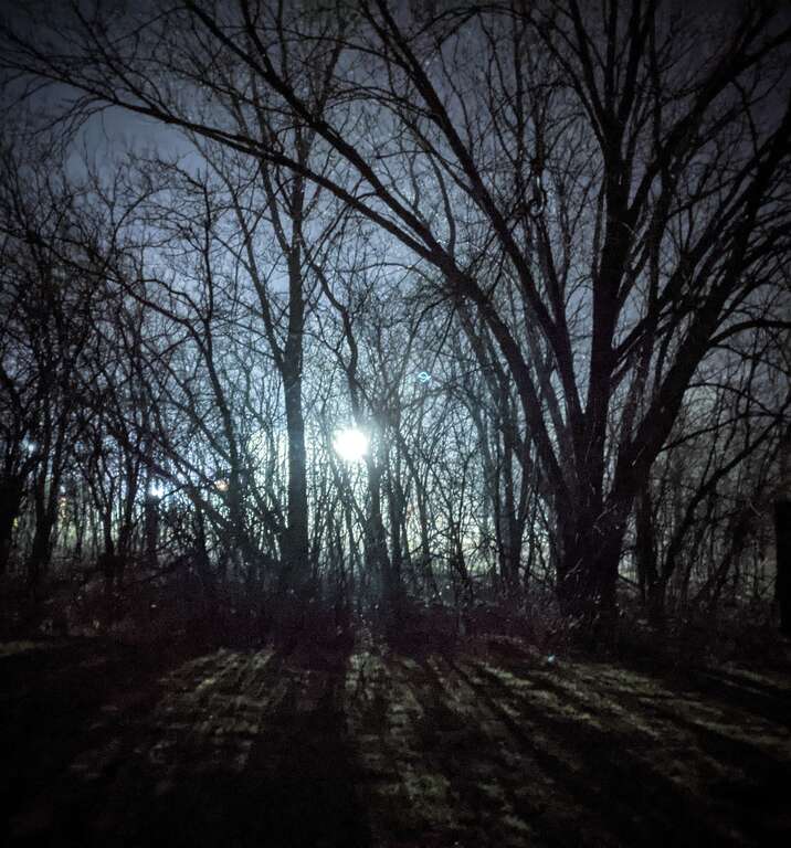 Cold and foggy night with factory lights shining through the trees at the boat launch.