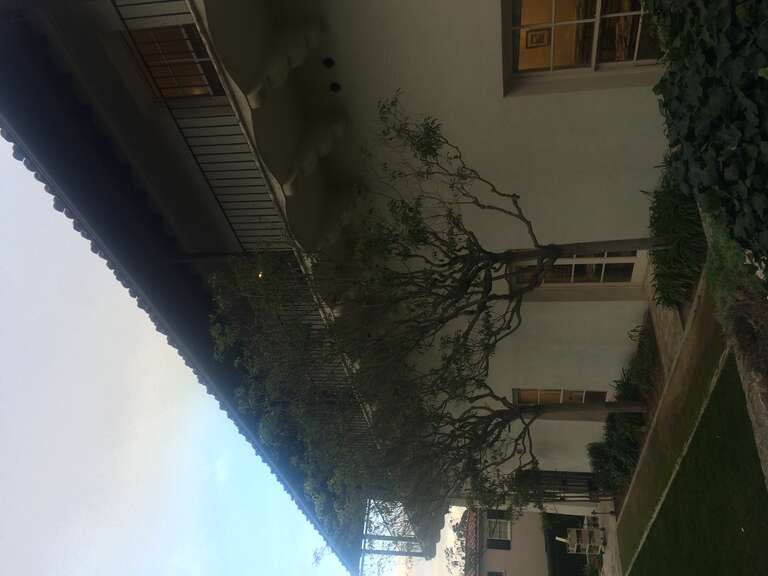 California, USA - December 2016