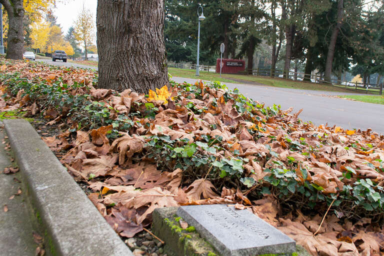 A 1989 Arbor Day commemorative plaque on Officers Row in Vancouver, Washington