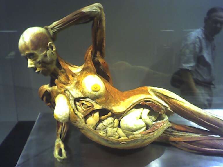 The whole exhibit has a &quot;you know what this is about&quot; air to it, as in, let
the tender viewer beware. But there was a special warning reserved for a
separate chamber wherein reclined this nude woman, who passed away taking
her fetus with her. At