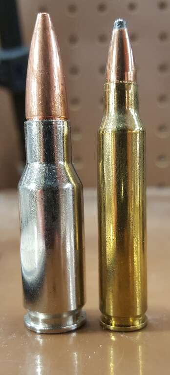 Size comparison of .30 Remington AR and .223 Remington cartridges.