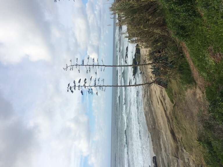 California, USA - November 2016

San Diego (CA)