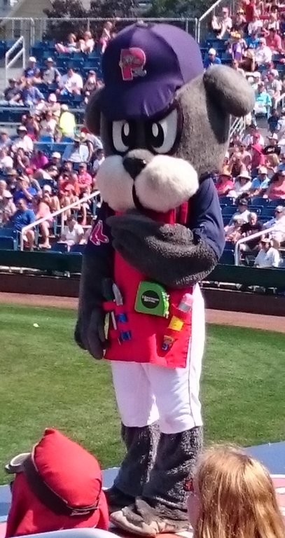 Slugger, the Sea Dogs mascot, standing on the dugout roof