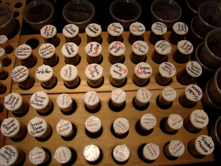 spiders in jars.
New York Metro Reptile Expo. Sunday, May 19th, 2009, White Plains, NY.

&amp;lt;a href=&quot;http://reptileexpo.com/nyfirst.htm&quot;&amp;gt;reptileexpo.com/nyfirst.htm&amp;lt;/a&amp;gt;