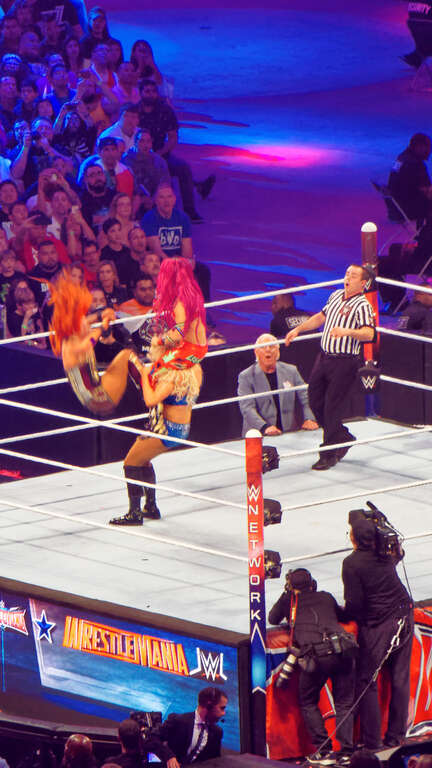 WrestleMania 32 was the thirty-second annual WrestleMania professional wrestling pay-per-view (PPV) event produced by WWE. It took place on April 3, 2016, at AT&amp;amp;T Stadium in Arlington, Texas. Twelve matches were contested on the card (with three