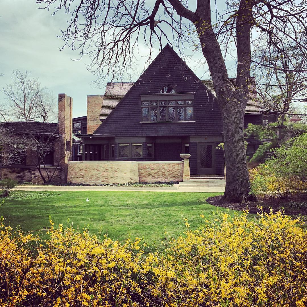franklloydwright #franklloydwrighthouse #oakpark #architecture #chicago